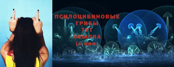 трава Заводоуковск