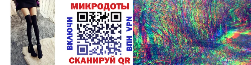 Купить закладки  Энем  Псилоцибиновые грибы MAGIC MUSHROOMS 